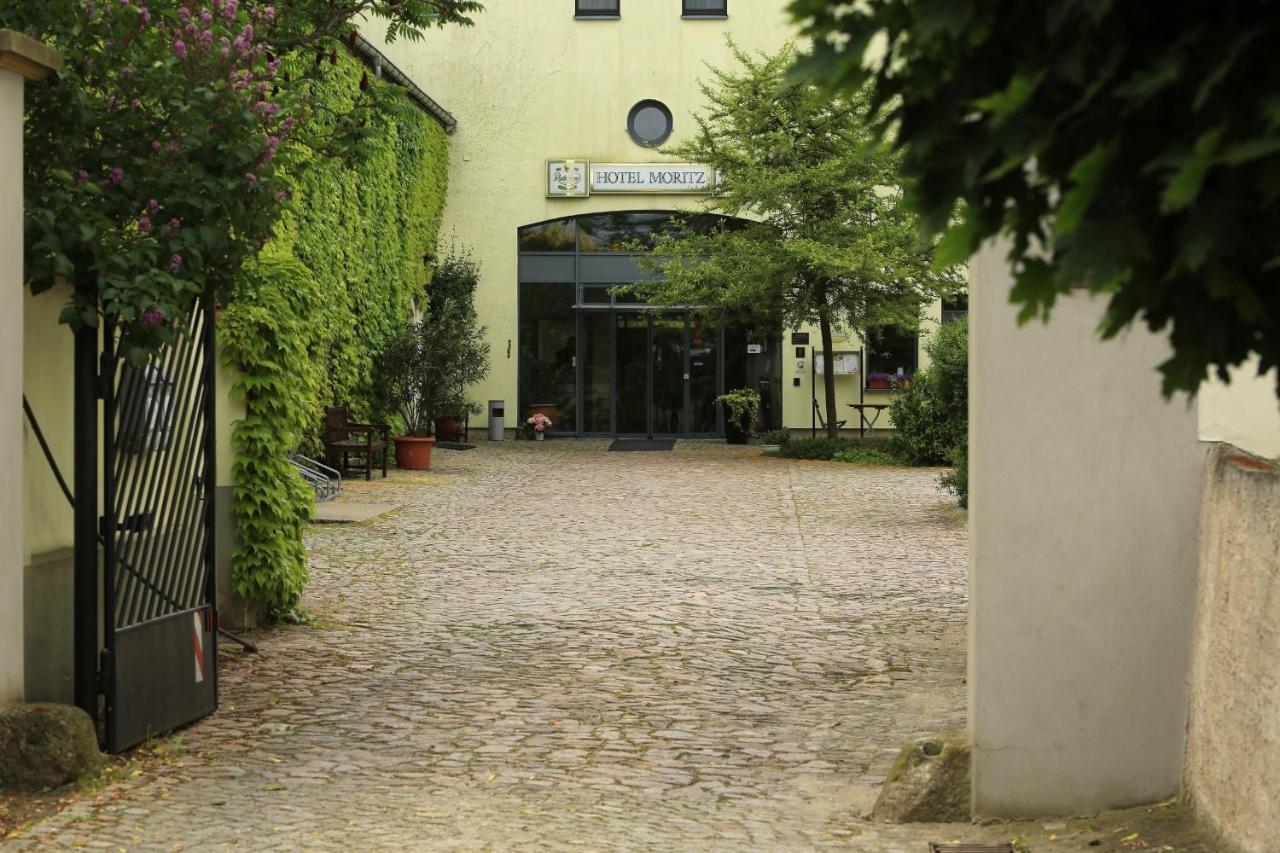 Moritz An Der Elbe